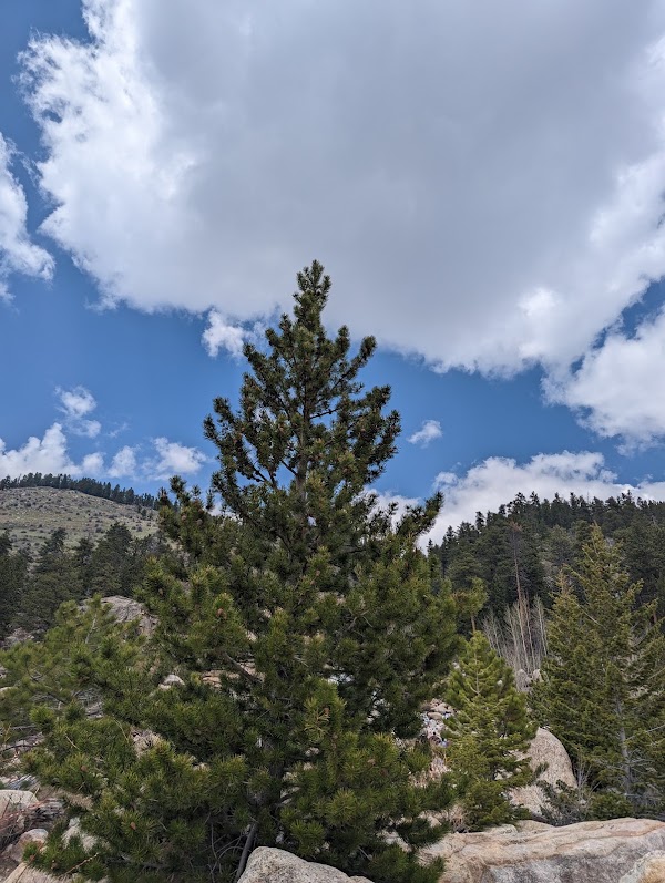Alluvial Fan Trail 4