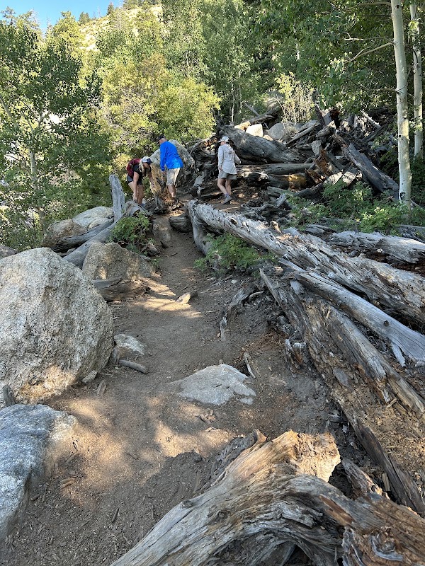 Alluvial Fan Trail 2