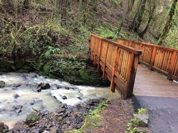 Forest Park 2
