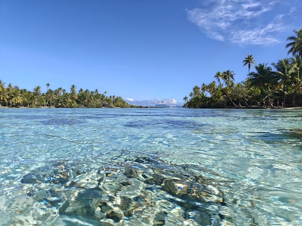 Coral garden 5