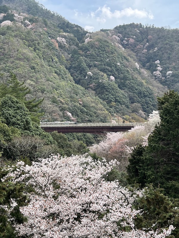 Hozu Gorge 2