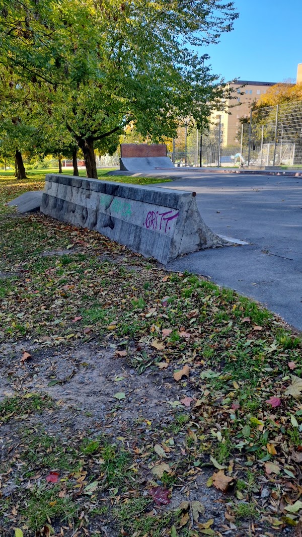 Drakenbergs skatepark