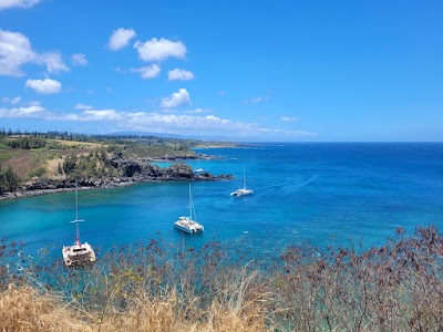 Honolua Bay