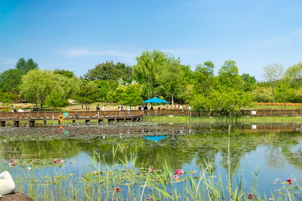 Dunsan Grand Park 5