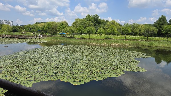 Dunsan Grand Park 3