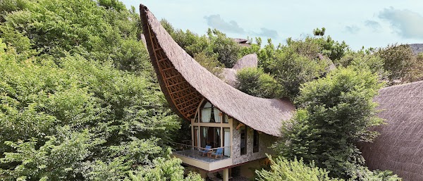 Garrya Mù Cang Chải 1