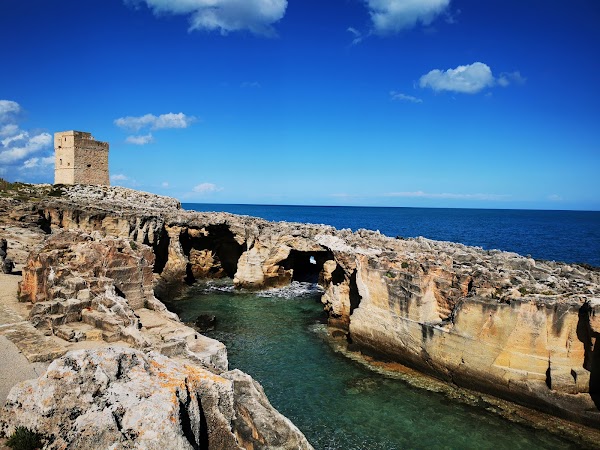 Piscine naturali 1