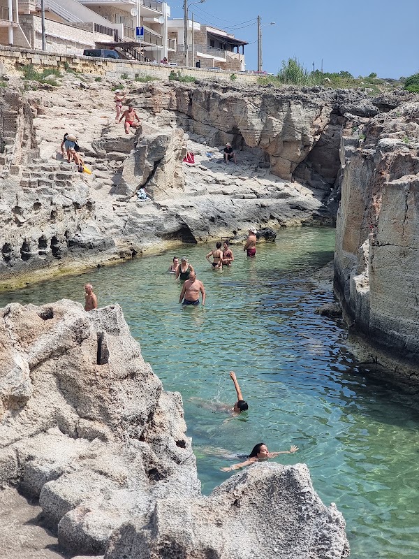 Piscine naturali 5