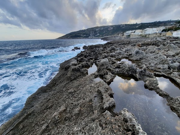Piscine naturali 4