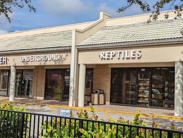 Underground Reptiles (Retail Store) 1