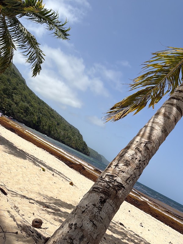 Playa rincon