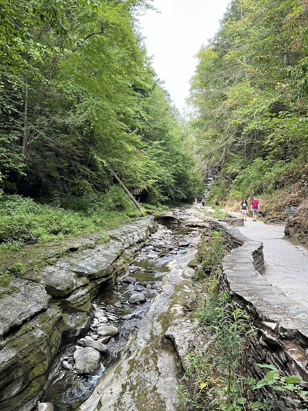 Watkins Glen Gorge Trail 5