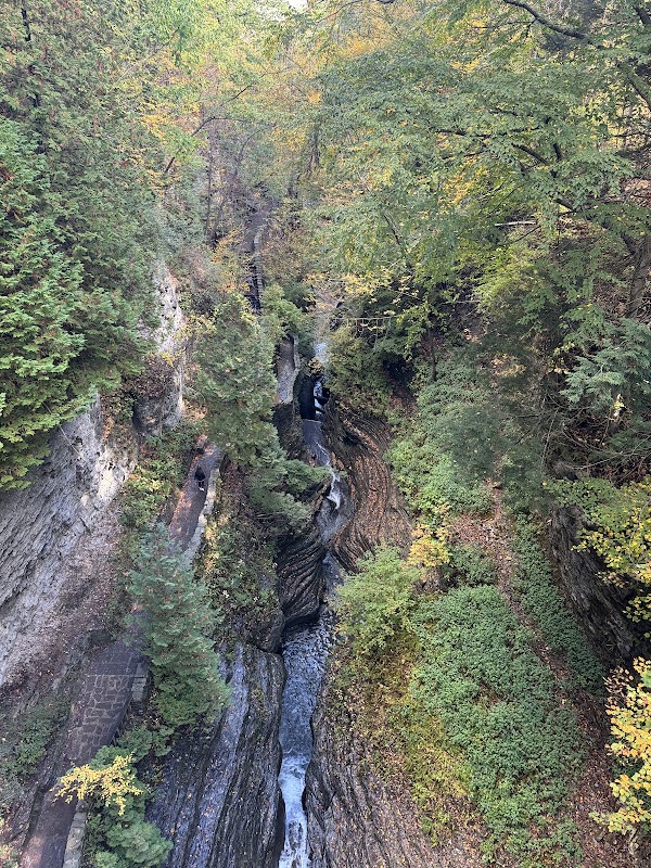 Watkins Glen Gorge Trail 4