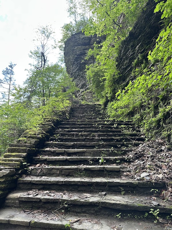 Watkins Glen Gorge Trail 3