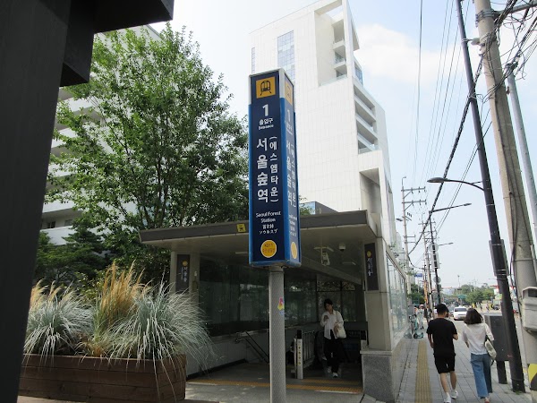 Seoul Forest 2