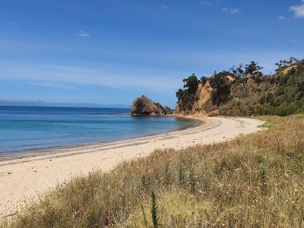 Rotoroa Island