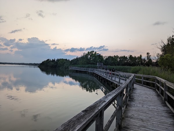 Mel Swart Lake Gibson Conservation Park