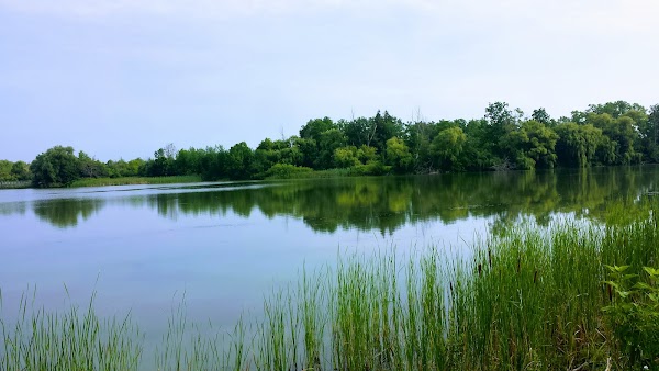Mel Swart Lake Gibson Conservation Park 5