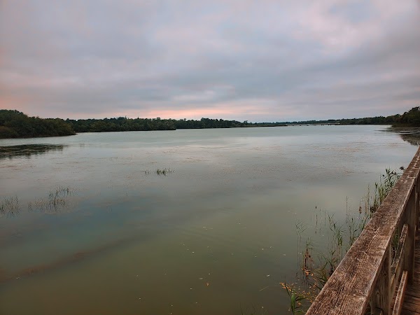 Mel Swart Lake Gibson Conservation Park 2