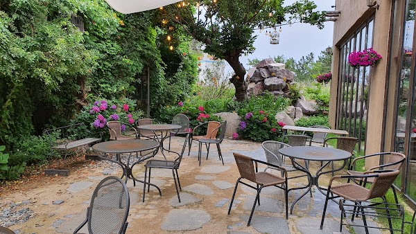 Cafe Fotopia 1