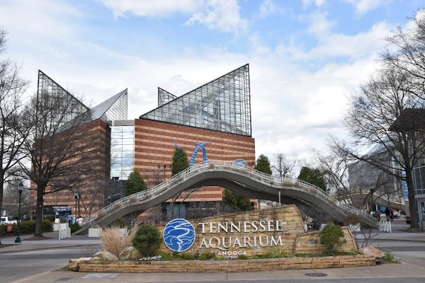 Tennessee Aquarium