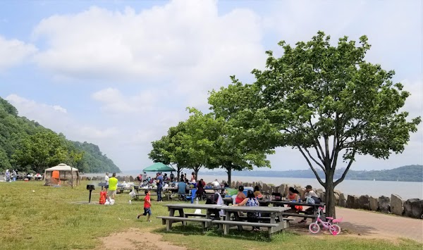 Ross Dock Picnic Area 5