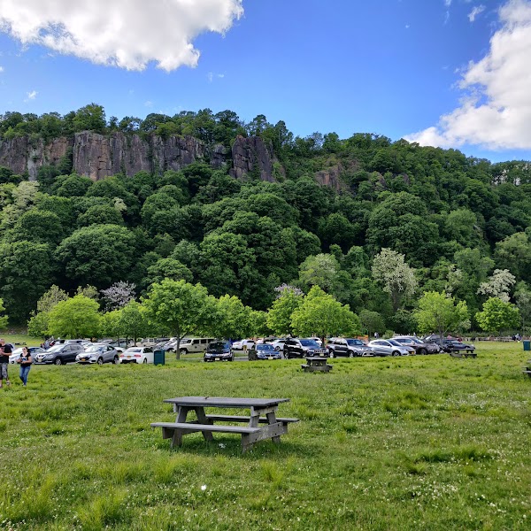 Ross Dock Picnic Area 4