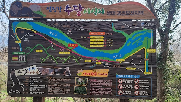 구례 섬진강 벚꽃길 (동해마을 벚꽃길) 3