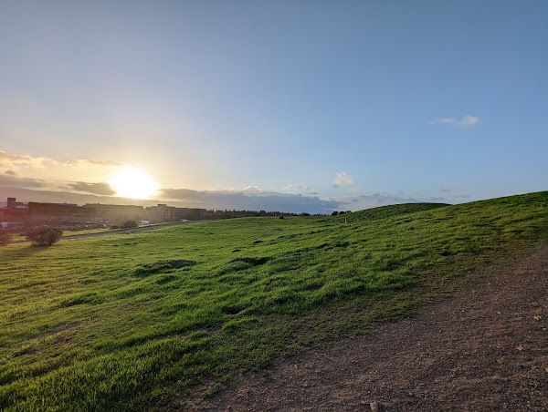 Vista Slope At Shoreline Park 3