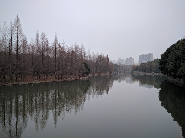 Century Park 2