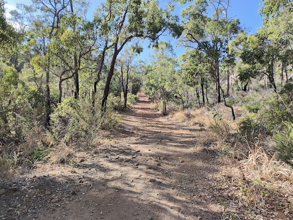 Helena Pipehead Walk 5