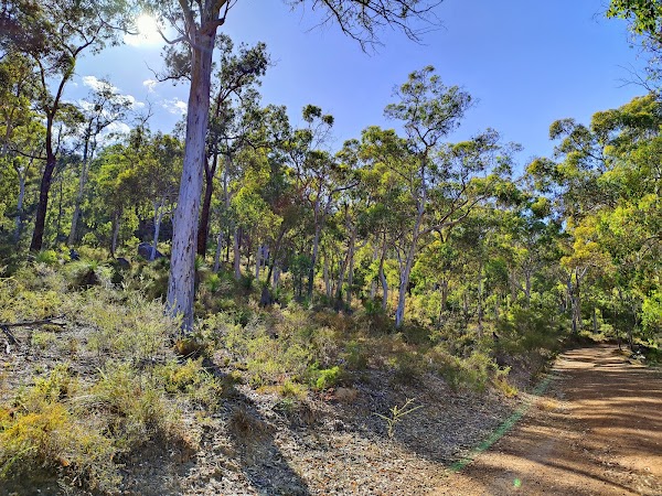 Helena Pipehead Walk 2