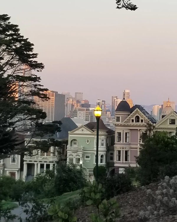 Alamo Square 1