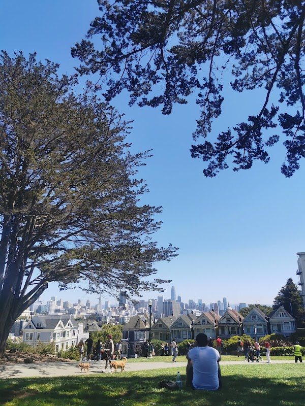Alamo Square 4