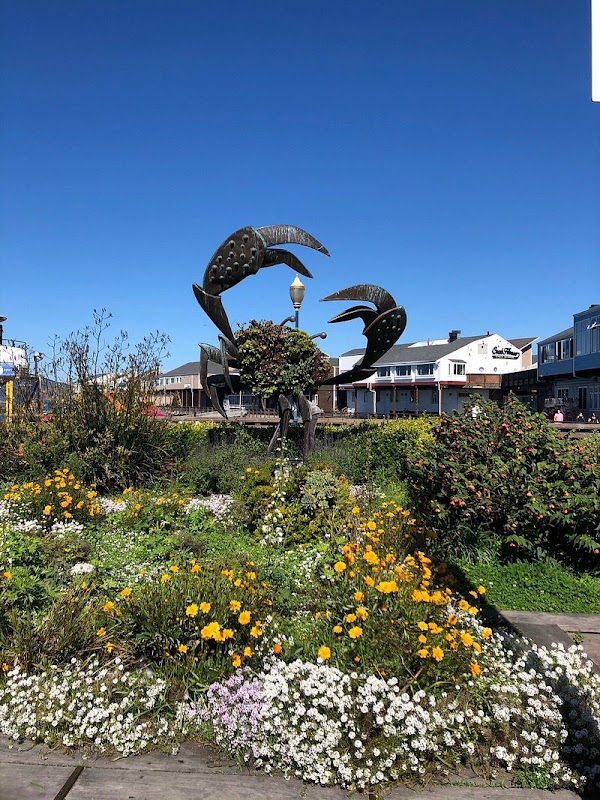 Fisherman's Wharf 3