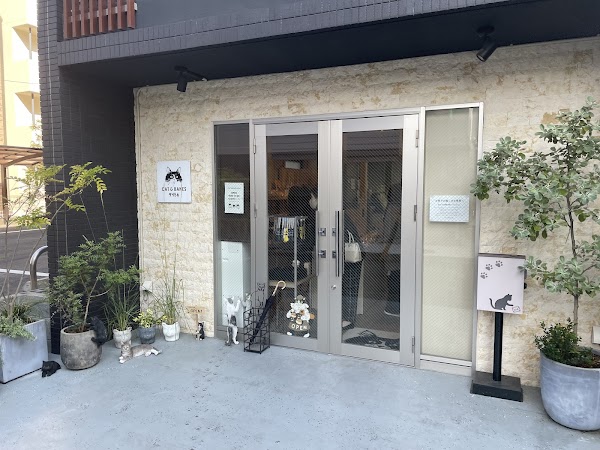 CAT & BAKES 9456