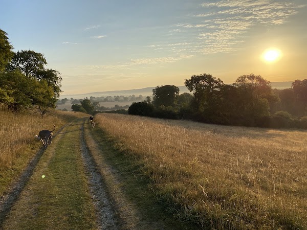 Chilterns National Landscape 4
