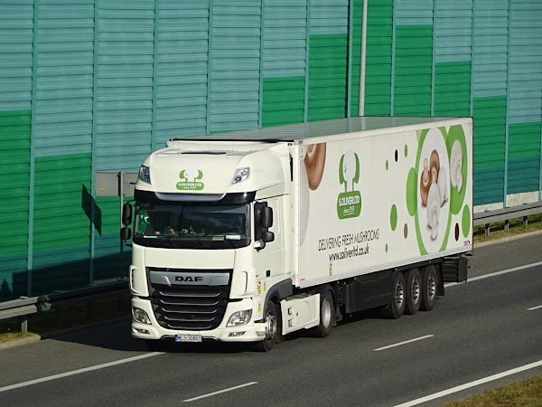 S Oliver Ltd