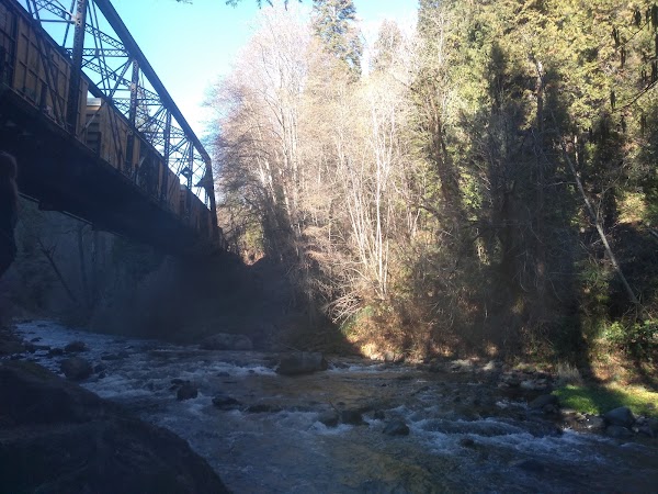Dunsmuir