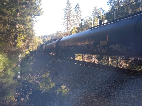 Dunsmuir 4