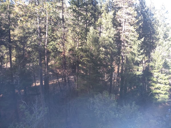 Dunsmuir 2