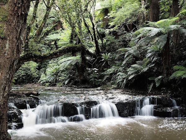 Purakaunui Falls 4