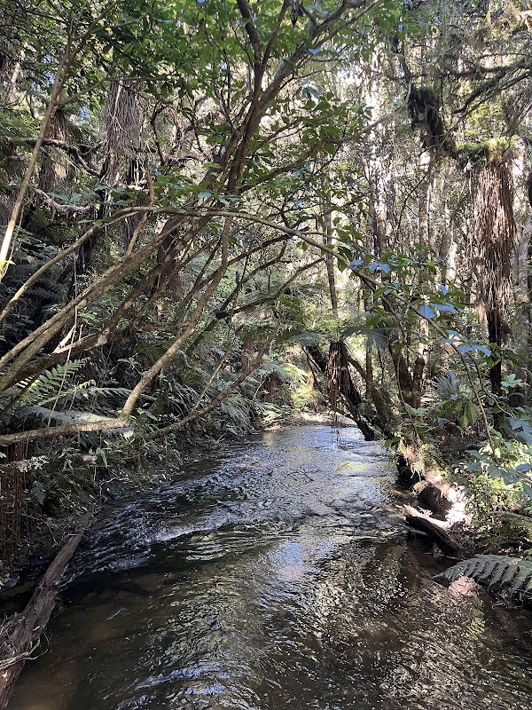 Purakaunui Falls 3