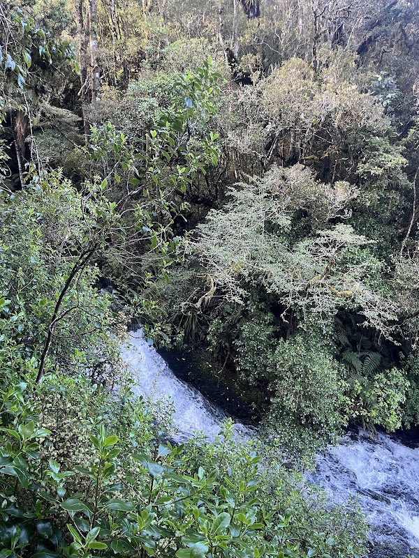Purakaunui Falls 2