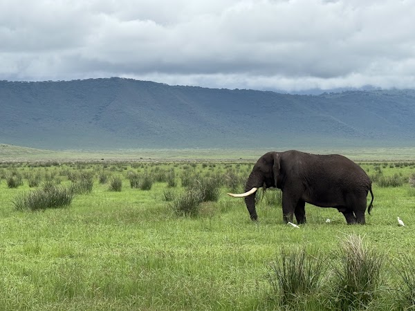 Ngorongoro Crater 4