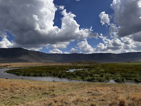 Ngorongoro Crater 2