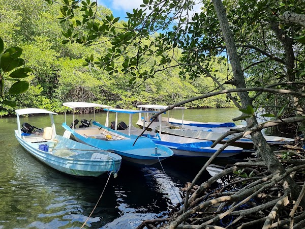 Mangrove Point 3
