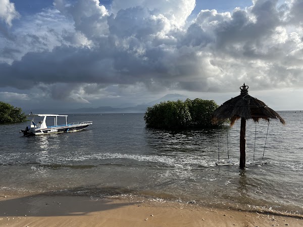 Mangrove Point 2