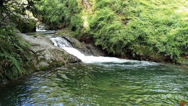 Reserva Científica Ebano Verde 1