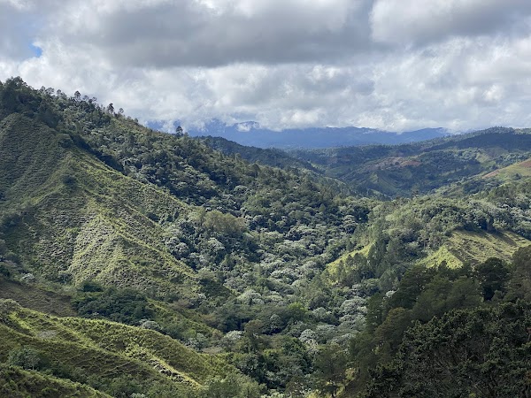 Reserva Científica Ebano Verde 5